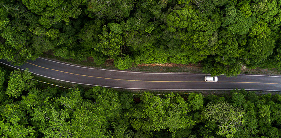 Car in forest.jpg